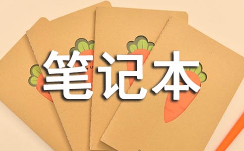 恋恋笔记本优秀观后感范文