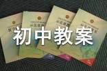 初中教案