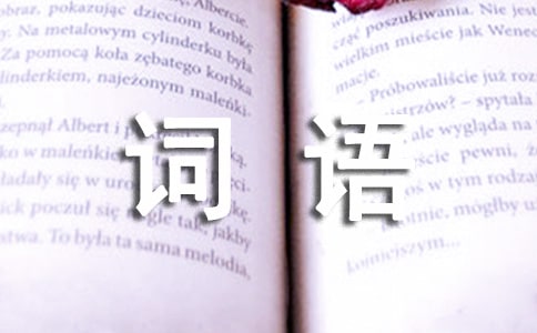 关于描写成语词语句子