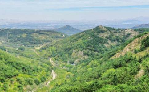 读《成功就是翻越远方的大山》有感作文