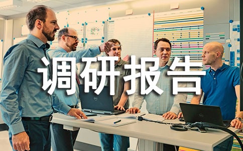 创新社会管理调研报告