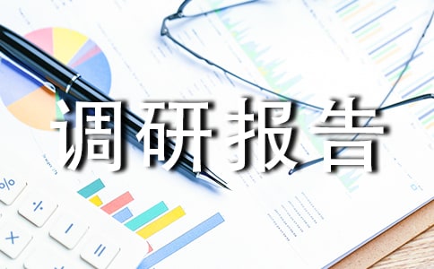 残疾人扶贫基地建设调研报告(精选6篇)