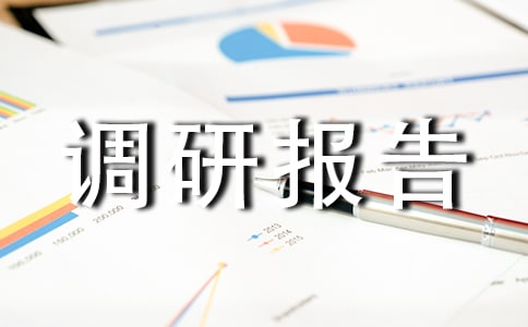 村委社会经济发展现状调研报告
