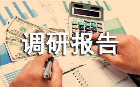选题和调研报告