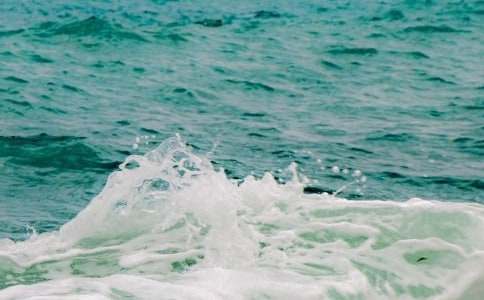 飞鸟和鱼的痴恋美文