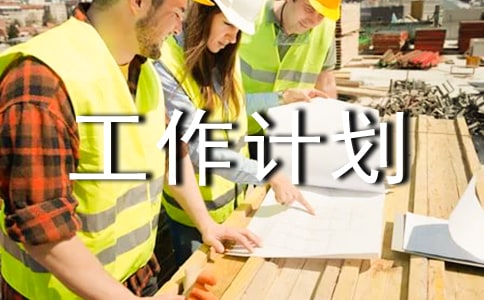 年度工作总结及下年工作计划