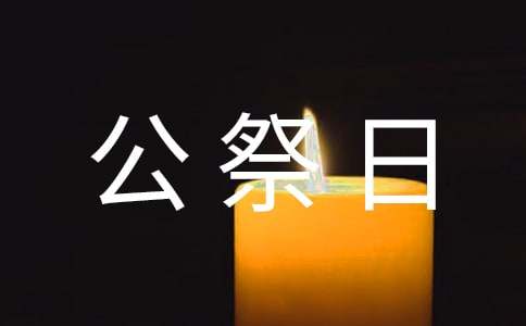 国家公祭日主题活动总结
