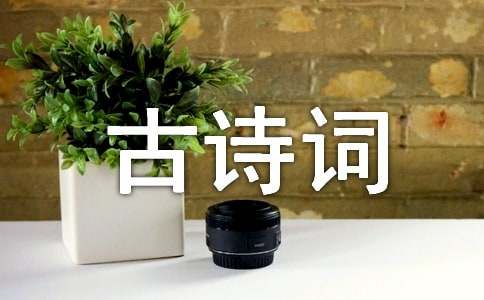古诗词的作文300字汇编五篇