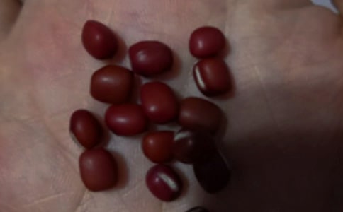 【推荐】红豆作文300字3篇