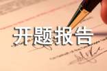 开题报告