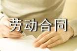 东莞市劳动合同范本