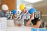 工人劳务合同范本