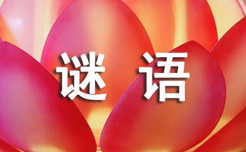 读《猫国的谜语》有感作文