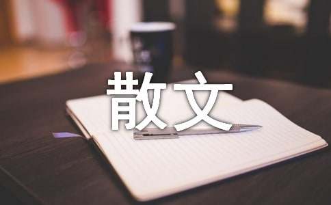 关于生活的随笔散文