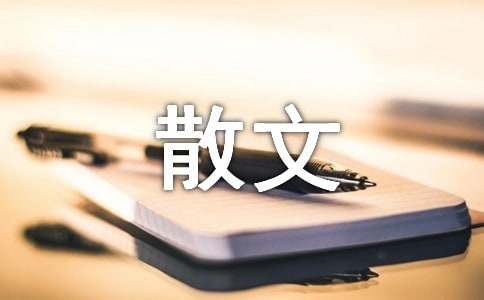 初中生活散文随笔300字