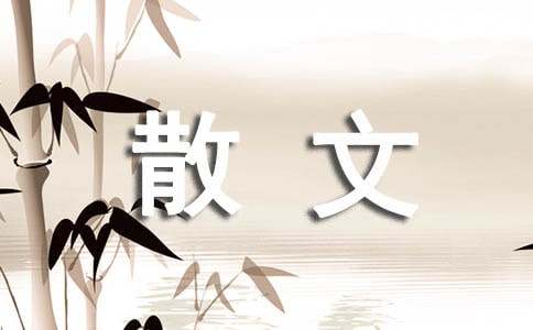 回家过年随笔散文