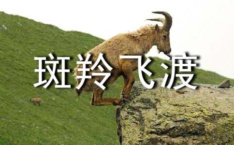 ����ɶɶ���С����š�