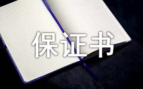 关于个人还款保证书四篇