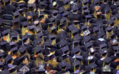 ��ѧ���������ʵ������[����15ƪ]