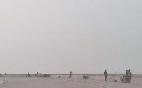 ���Ƽ���Сè���������300��4ƪ