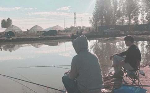 ��ѡСè���������300�ֻ��5ƪ