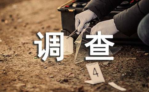 调查报告作文300字锦集9篇