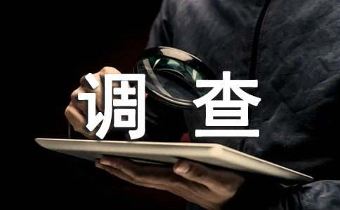 小学生压岁钱使用调查报告