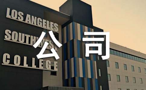 ���̹�˾�����ƶȻ��[11ƪ]