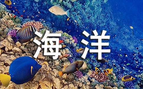 呼吁爱护海洋的建议书
