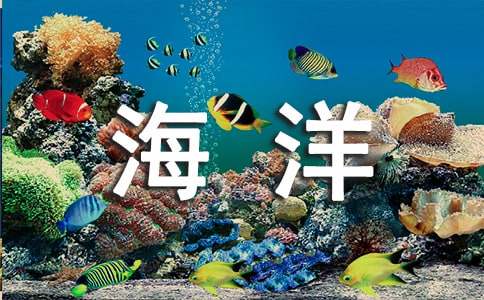 《海洋奇缘》观后感10篇