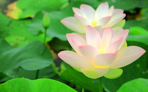 ���ںɻ��̰�����10ƪ