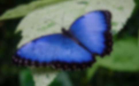 �������̰�[��]