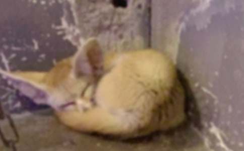 ���˲���ĺ���ְ֡������(����15ƪ)