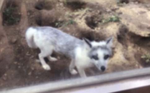 ���ٱ�����ƭһ�Ρ������(����15ƪ)