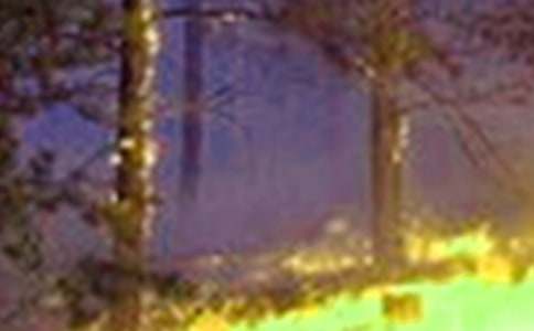 Ԥ����������̰�