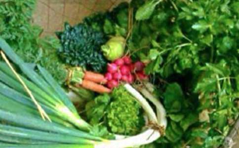 �����뽡����ѧ��������˼