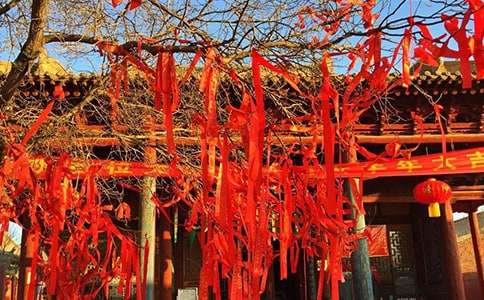 超市节日促销活动总结(4篇)