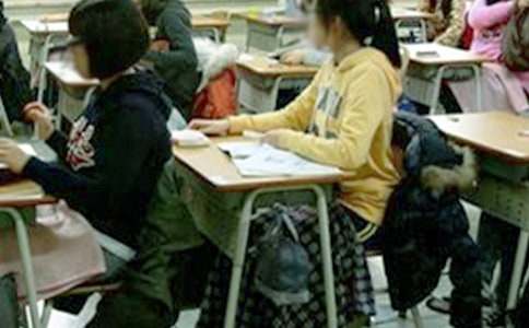 ���Ŀ��Է�˼����300�ֻ���10ƪ