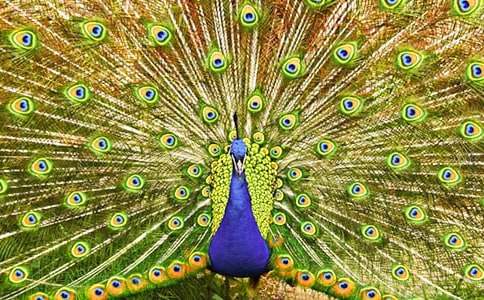 ��ȸ���������300�ֺϼ�8ƪ