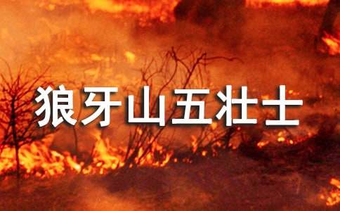 小学生狼牙山五壮士读后感3篇