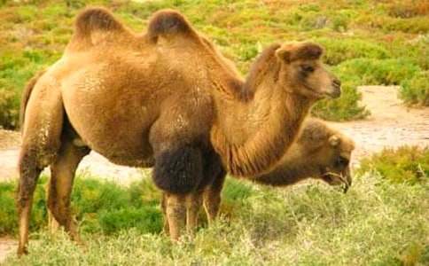 ��С���ա���ѧ��˼����