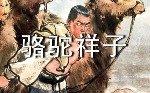 骆驼祥子观后感集合15篇