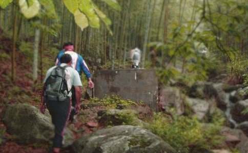 精选爬山教案汇总八篇