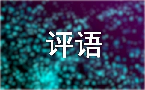 日常使用评语