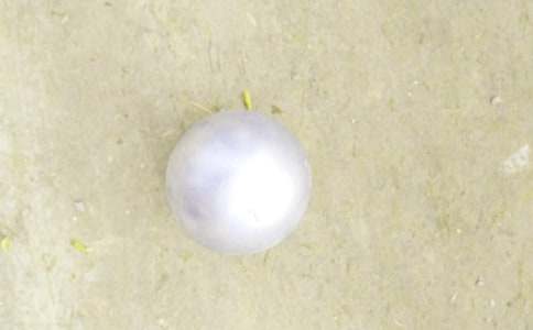 铅球比赛加油稿15篇