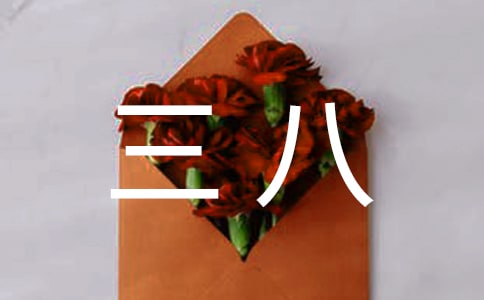 �������˵�ο���Ż����ƪ