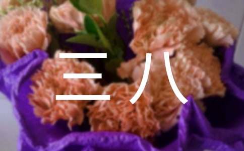 三八妇女文艺晚会主持稿