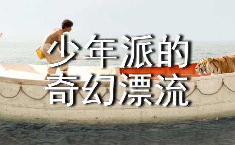 少年派的奇幻漂流观后感13篇