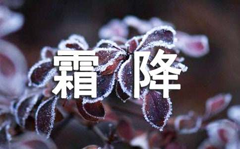 2025年霜降节气问候语29条