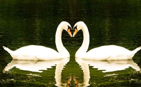 �������ˮ�������(���15ƪ)